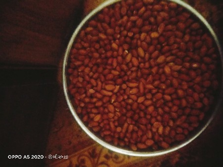 જી વીસ નુ બીયારણ
