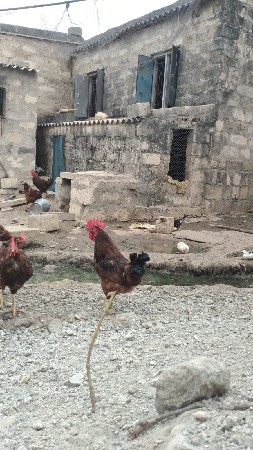 મો 9106448233