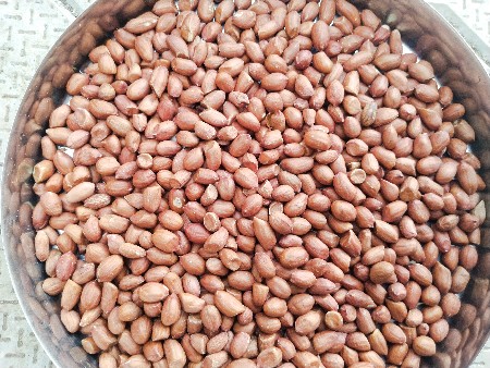 G-45 નુ બિયારણ વેશાવનુ છે