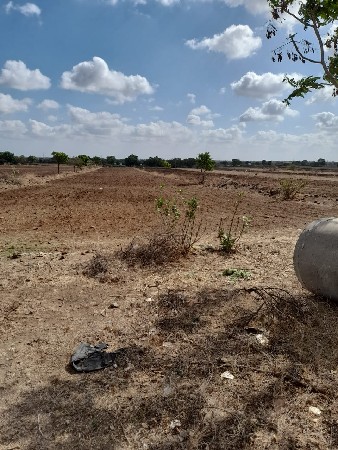 5 વિઘા ખેતી ની જમીન વેચવાની છે