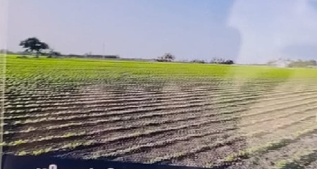 જમીન વેંચવા ની છે