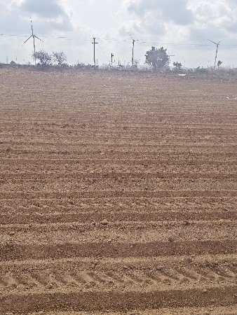 જૈમિન ત્રિજા ભાગે અપવાણી છે.
