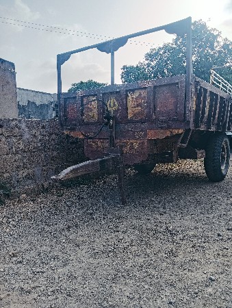 ઈલોરાટેલરવેસવાનુસે90સે
