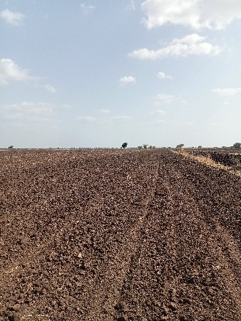 ખેતી ની જમીન  વેચવાની છે