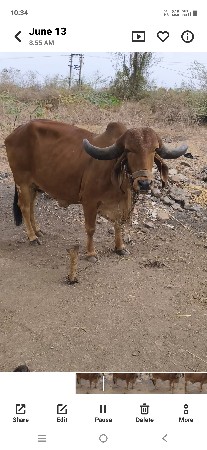 વેચવાની છે