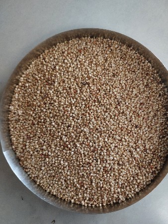 ગુધરી