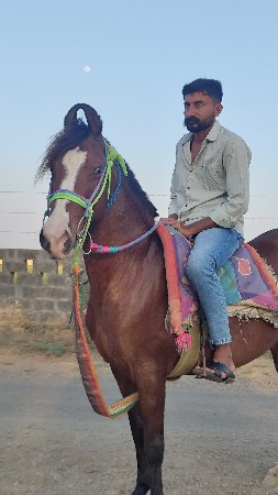 સાવ સોજી છે