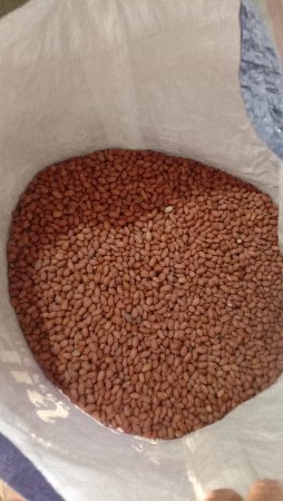 માંડવી