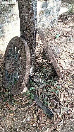 પેરડા
