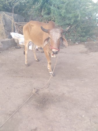 શિવ સહિત