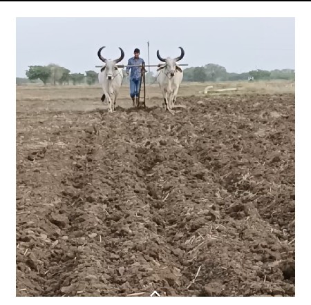 વેસવાના છે