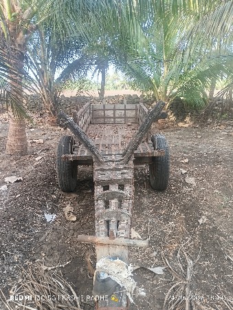 બળદ ગાડું વેચવાનું છે.