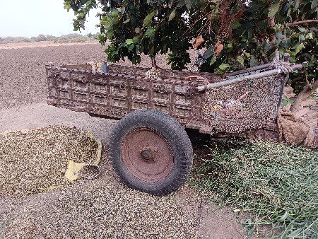 ગાડું વેચવાનું છે.