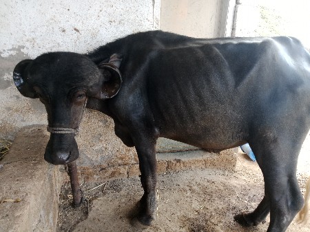 લેવા માટે જ ફોન કે મેસેજ કરવો
