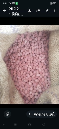 23 નંબર મગફળી બિયારણ વેચવાનું છે