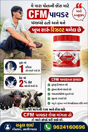 પાવડર