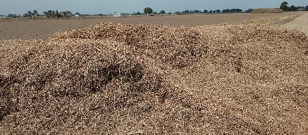 ભુકો વેચવાનો છે.