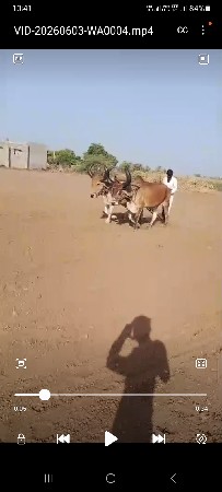 કોઈ જાત એબ નથી ફુલ જવાબ દારી