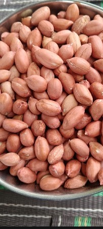 ગિરનાર 4