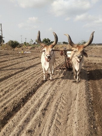 3 ધર