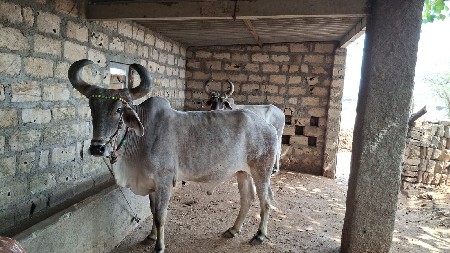 3 ધર આવશે શાવર સોજા6355769244 આ