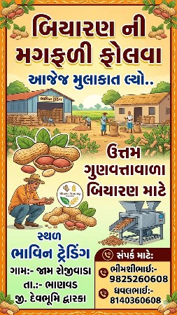 બિયારણ માટે ની મગફળી ફોલવા