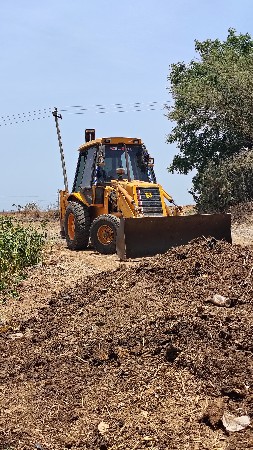 9909356081