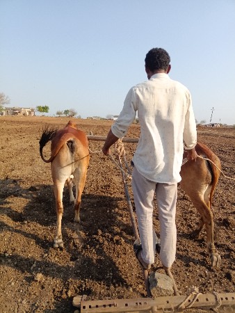 ગોડલા હાલતા છે બધી જવાબદારી