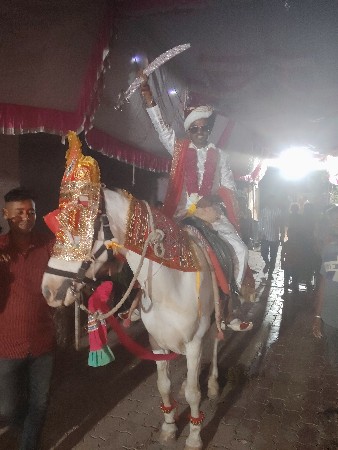 ઘોડી