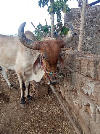 મો. 9023546256