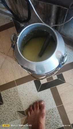 શુધ્ધ ઘી લેવું જોઇએ છે