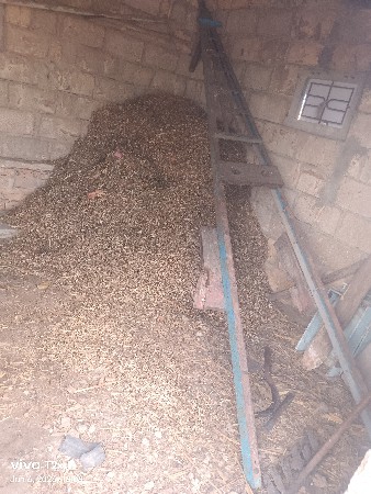 ગાડા ની ઉધ વેચવાની છે