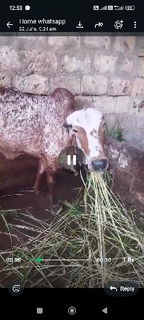 બે ઓળખી વેચવાની છે