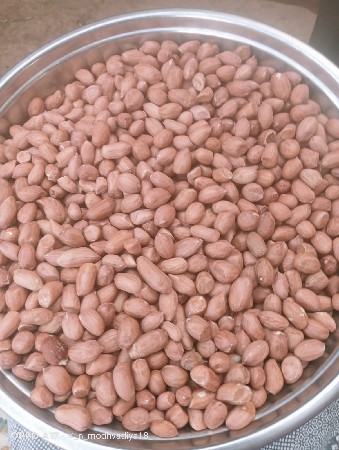 માંડવી નુ બિયારણ વેચવા નું છે
