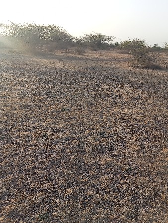 ખેતીની જમીન વેચવાની છે