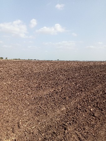 ખેતીની જમીન વેચવાની જમીન છે