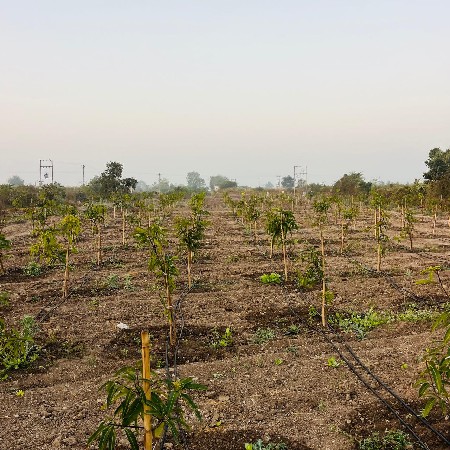 મેંદરડા તાલુકો