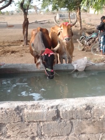 જામનગર જિલ્લો ભાણવડ તાલુકો