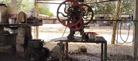 સિસોળો