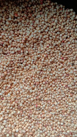 જવાર વેસવાની છે