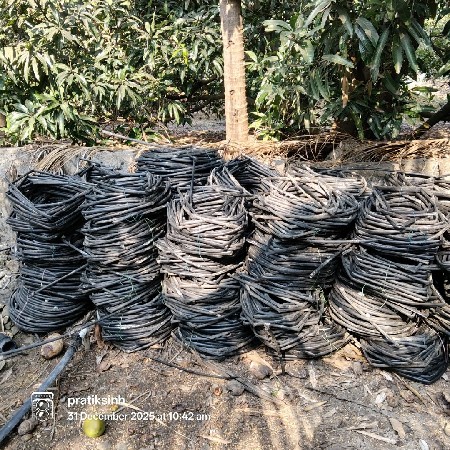 drip irrigation
ડ્રિપ ફિનોલેક્સ નળી