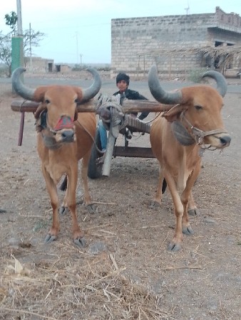 જામનગર જિલ્લો ભાણવડ તાલુકો