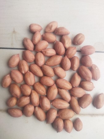 કોરી. માડવી. ના. કણ. છે. ભાવ.