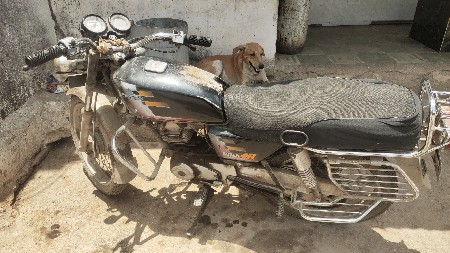 બોક્સર