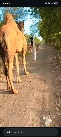 સારો સાથિયો
8849363223