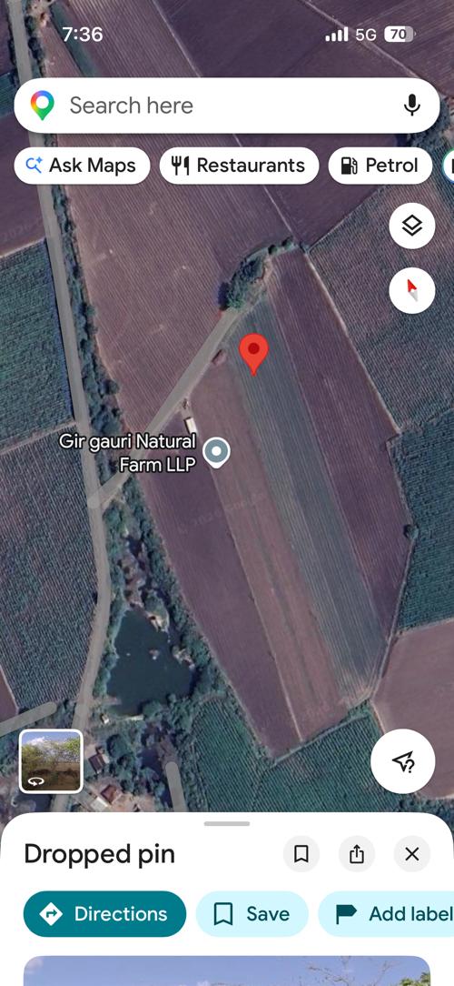 5 વીઘા જમીન વેચવાની છે