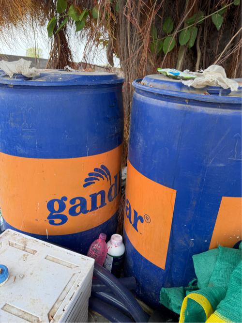 ગીરનાર (૪) મગફળી નો બિયારણ વેચવાનો છે