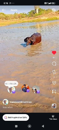 પાડો વેચવાનો છે