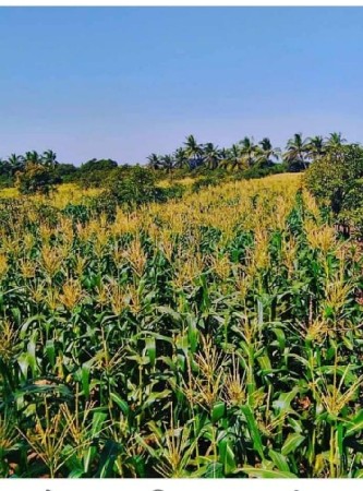 JCB ના ડ્રાઇવર