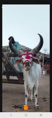 વે